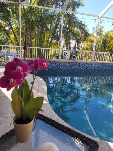 Cape Paradise Resort
