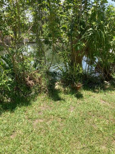 Apartamento Driftwood Isles