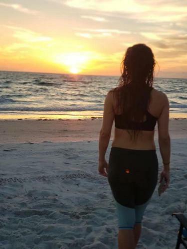 El Palmar Cottage Llc At Indian Rocks Beach Florida