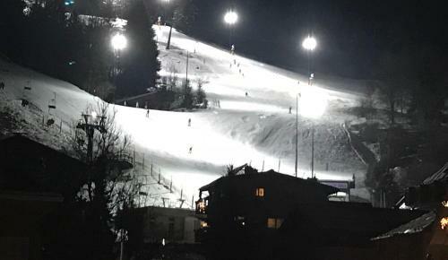 Ski And Lake View Apartment