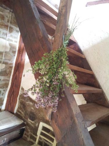 Apartamento Navilla