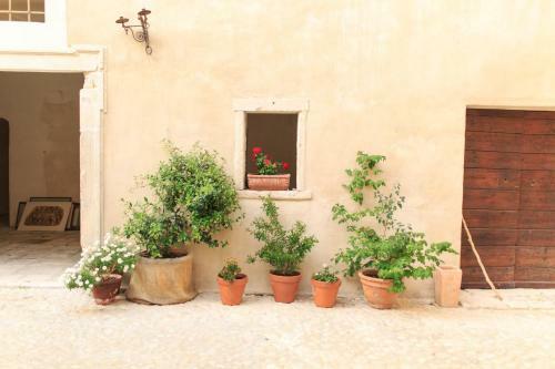 Hostal Casa Rosati