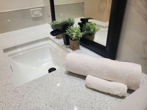 Stylish 4 Bedroom Property With Pool In Hollywood