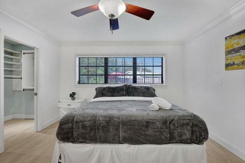 Stylish 4 Bedroom Property With Pool In Hollywood