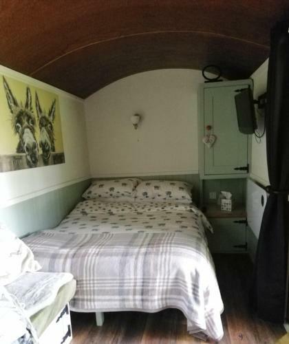 Hostal Durham Donkey Rescue Shepherds Hut