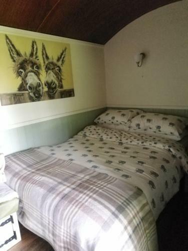 Hostal Durham Donkey Rescue Shepherds Hut