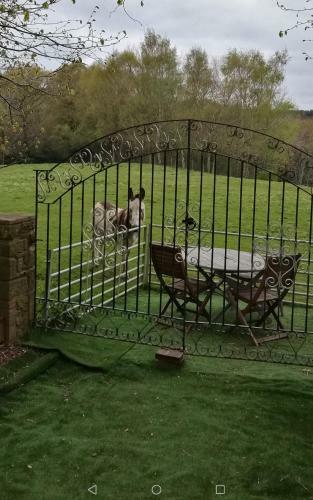 Hostal Durham Donkey Rescue Shepherds Hut