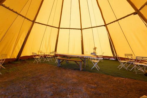 Blissful Bell Tent - Tansy