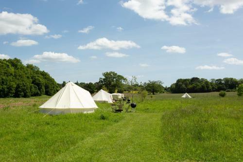 Blissful Bell Tent - Tansy