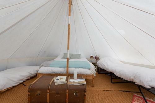 Blissful Bell Tent - Tansy