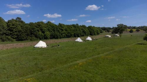 Blissful Bell Tent - Tansy