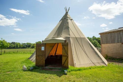 Blissful Bell Tent - Primrose