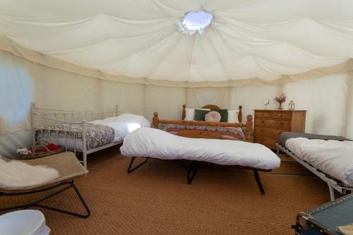 Starry Skies Yurt - Capella