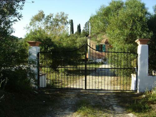 Family Vacation House