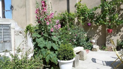 Le Patio Cathare