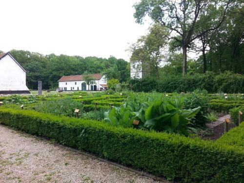 B&B Lomolen