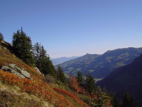 Apartamento Appartement Paratscher