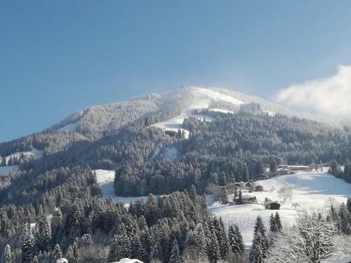Apartamento Appartement Paratscher