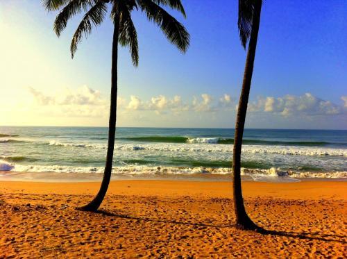 Hostal Bahia Surf Camp