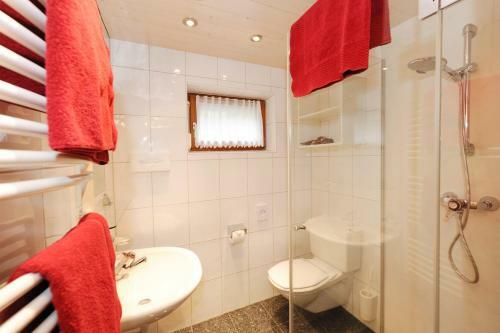 Apartment Rotb�hlspitze