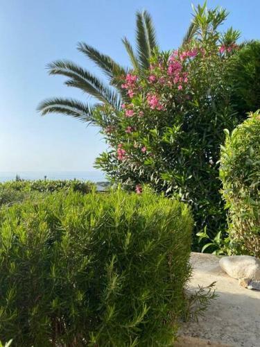 Villa Lia-clara, Villa Mit Privatem Pool