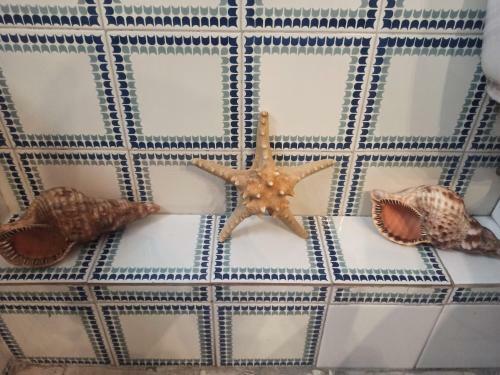Comfortable Apartment 100m From The Sea
