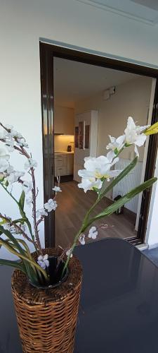 Apartamento Blue Seaview Suites