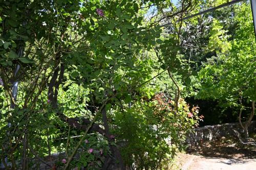 Maria's Mountain Home