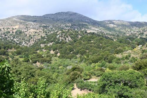 Maria's Mountain Home