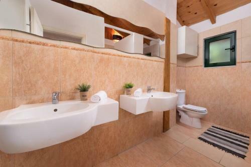 Agrology Lux (3 Bd Luxurious Villa With Agriculture Surroundings)