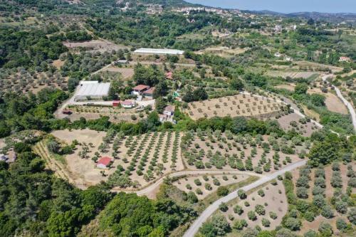 Agrology Lux (3 Bd Luxurious Villa With Agriculture Surroundings)
