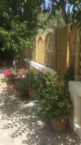 Corali Luxury Beach Apartment