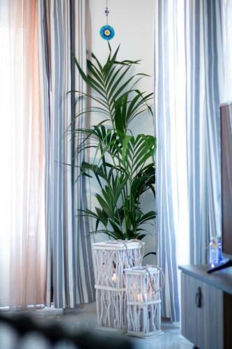 Apartamento Camara Suite With Jacuzzzi