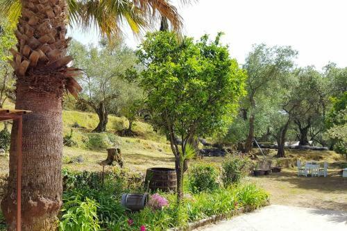 Apartamento Eleonas-olive Grove Traditional Holiday Appartment