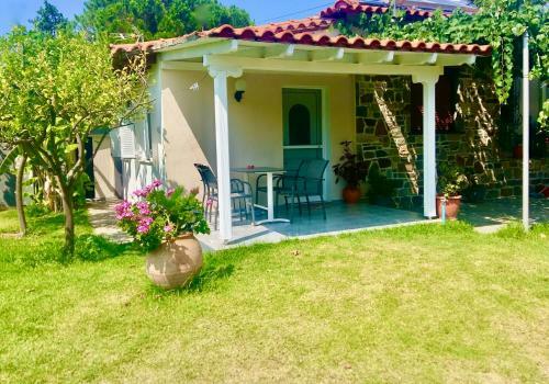 Apartamento Nina Studios