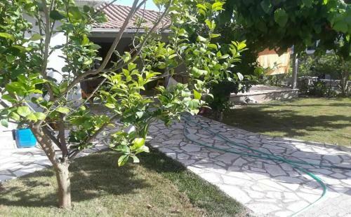 Sivros Village House