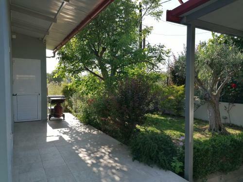 Villaellea