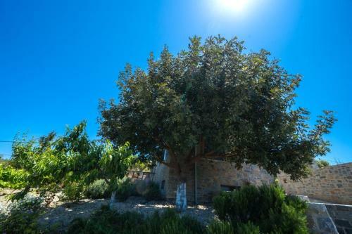 Villa Terra Zeus Skalani