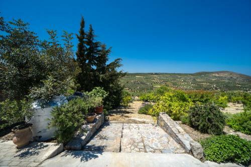 Villa Terra Zeus Skalani