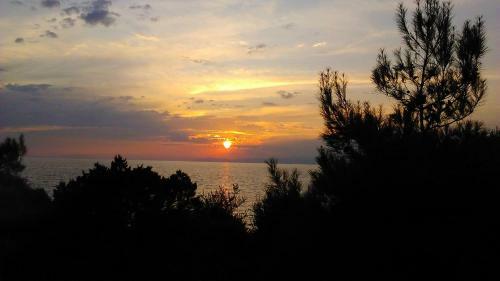 Verde Al Mare