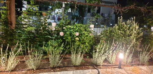 Apartamento Sivotahomes-family