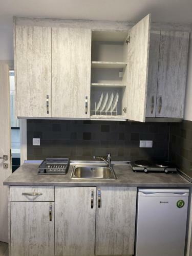 Apartamento Vila Savic