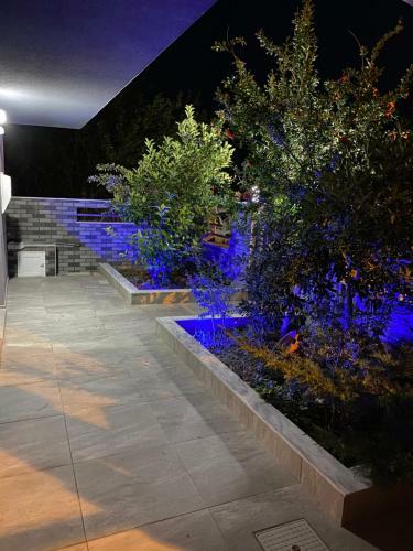 Apartamento Vila Savic