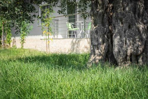 Apartamento Mougkrasstudio