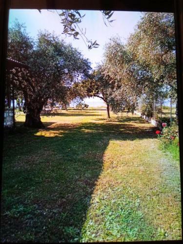 Apartamento Villa Anna