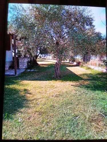 Apartamento Villa Anna