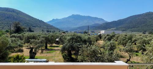 Hotel Anatoli Studios