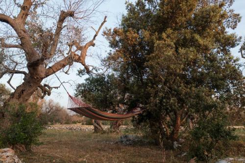 Apartamento La Nicchia-trullo