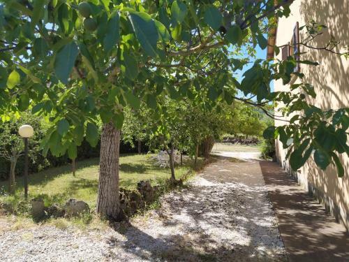 Apartamento Il Passero