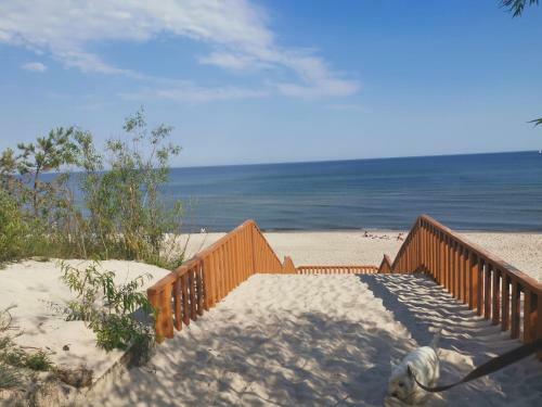 Apartament Zielona Trawka